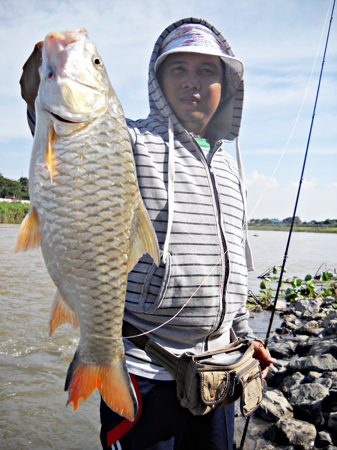 .....ช๊อบบชอบ น้ำไหล ( Like Fishing Style Ultra Light Hampala ).....