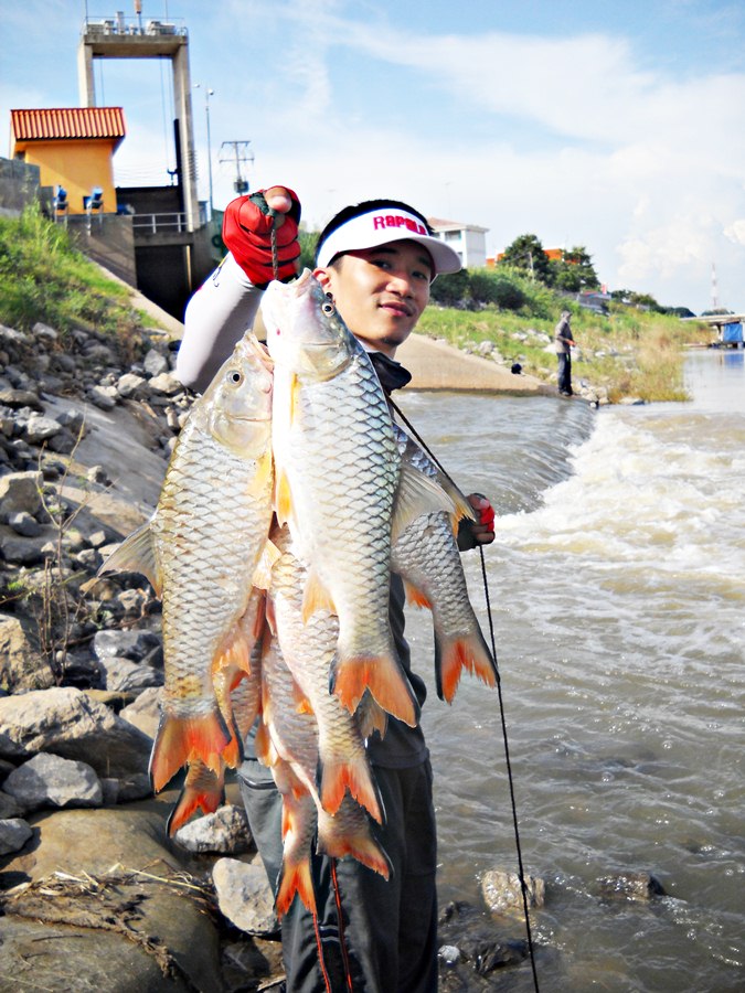 .....ช๊อบบชอบ น้ำไหล ( Like Fishing Style Ultra Light Hampala ).....