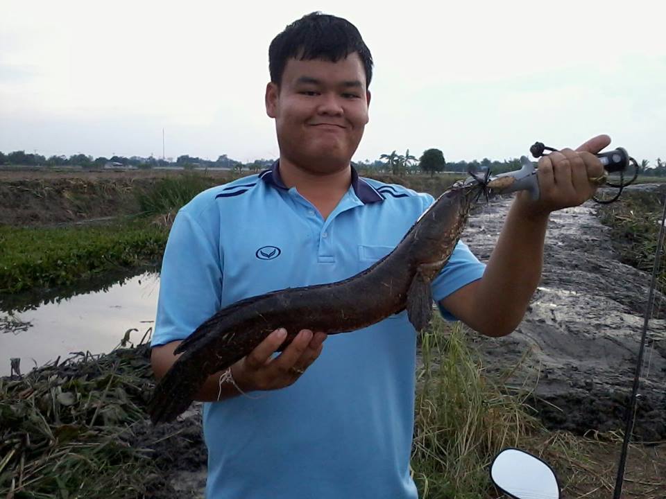 ดับเบิ้ลโทรฟี่ช่อนของผม