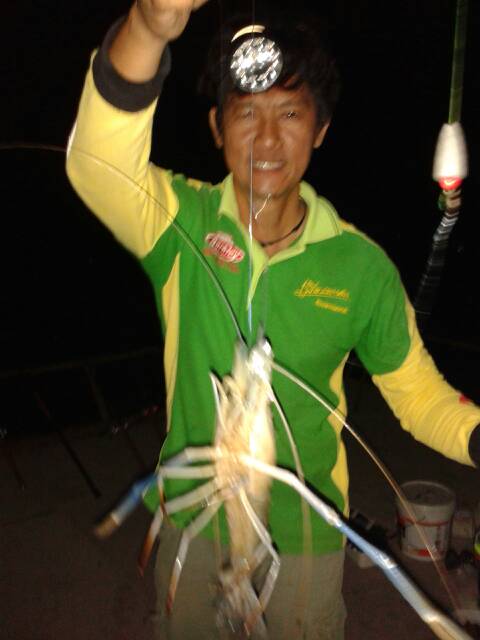 แพหนองปลาไหล..ปลากะลังกิน