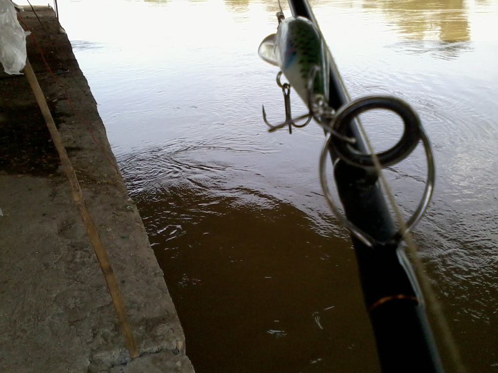 รวมรวมมาชมครับ