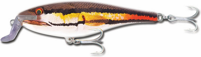 Rapala มันมีสีนี้ด้วยหรอ