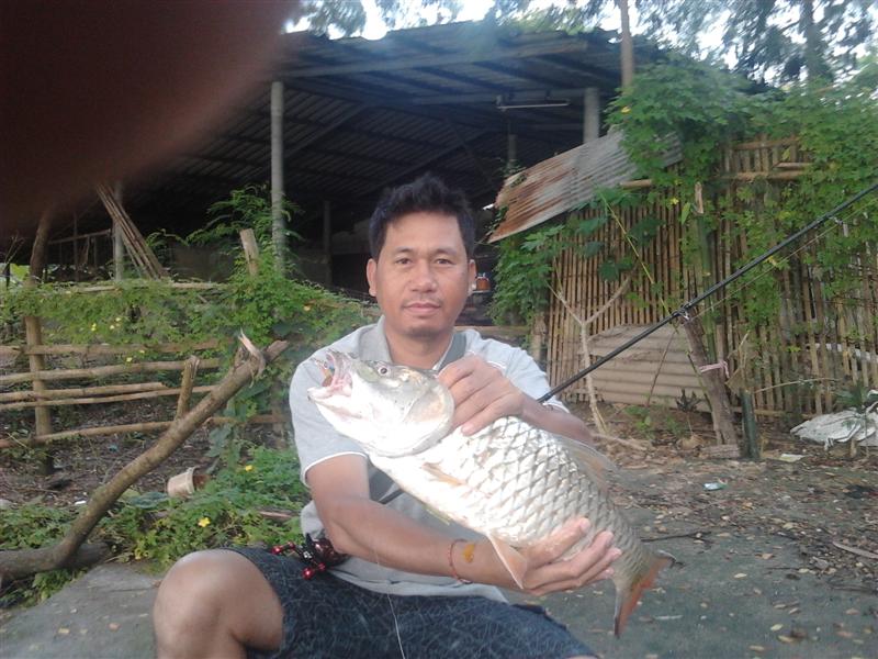 กระสูบลำพูน
