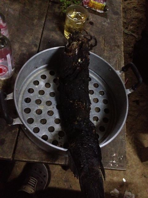 ลุยทุ่งยาวไปกับกบเหลาเพดรี 