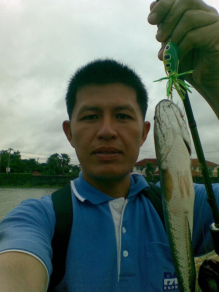 ช่อนนาเมื่อตอนเย็น 20/09/2556