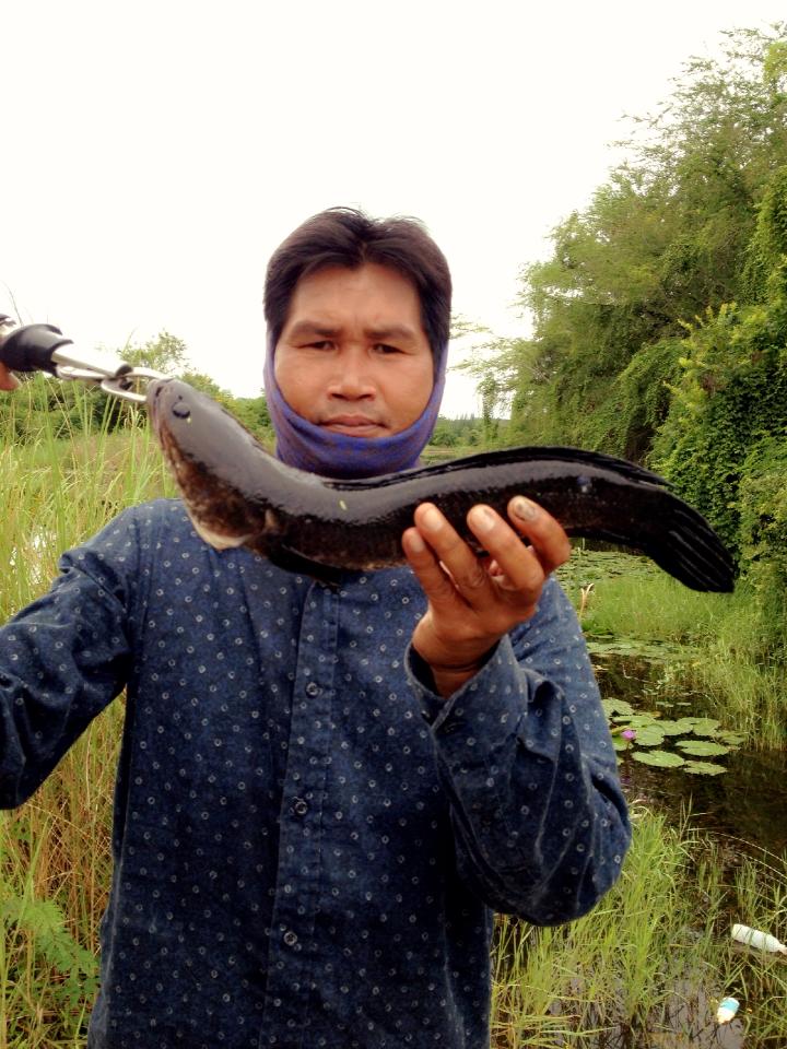 เช้านี้จัดไป โด ไม่โดน โดนช่อนแล้วกัน  By"กบเหลาเพ็ดรี" 