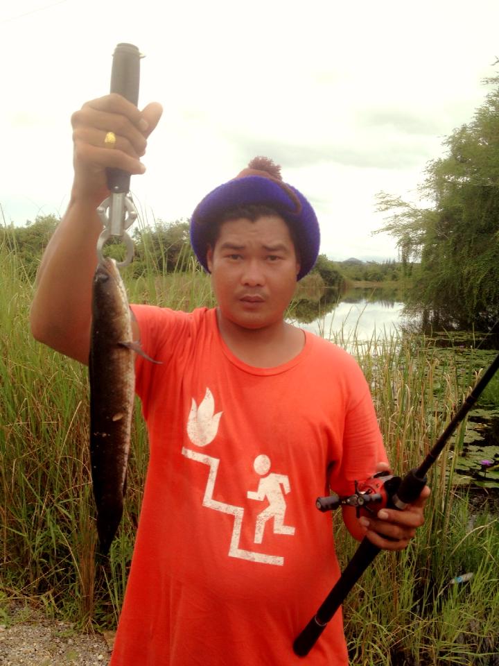 เช้านี้จัดไป โด ไม่โดน โดนช่อนแล้วกัน  By"กบเหลาเพ็ดรี" 