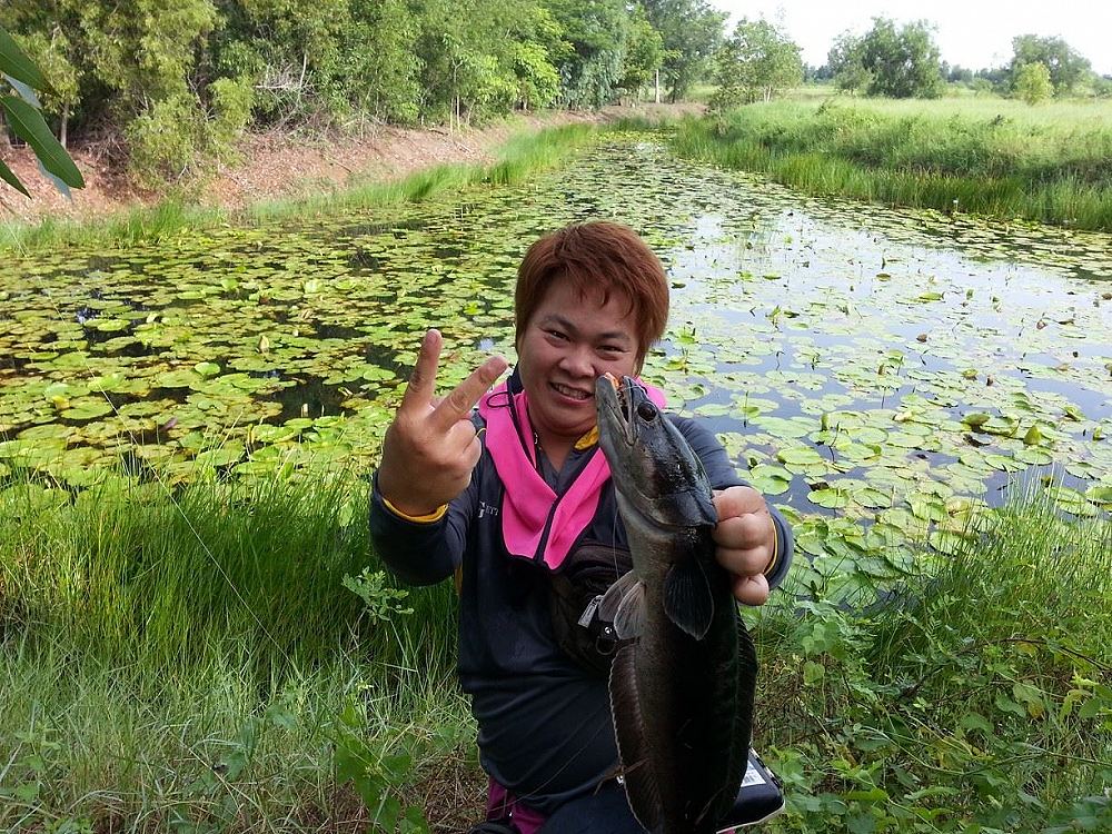 JUB FROG 5แอคชั่น ผลงานรวมกบยาง JUB FROG 