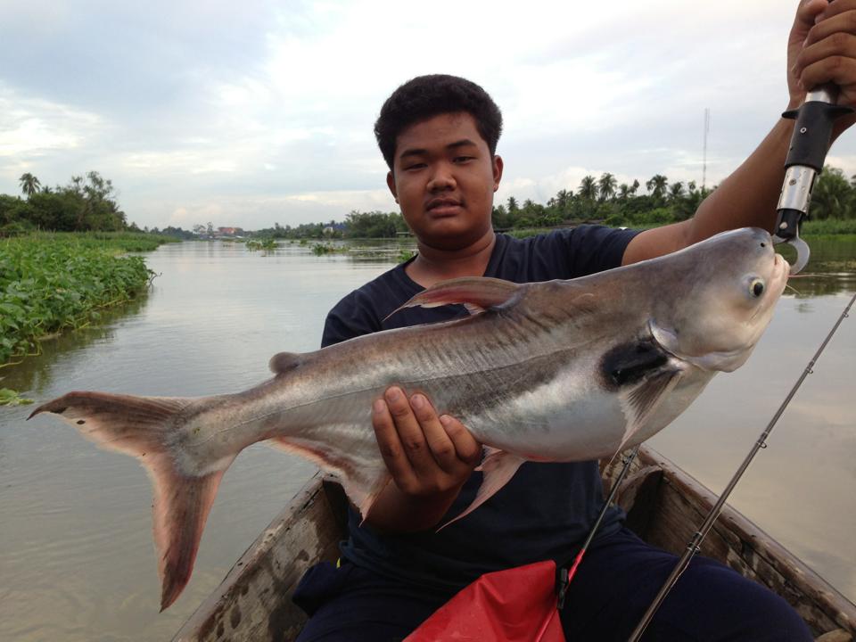 บ่าย3ตกในนา 5 โมงเย็นลงแม่น้ำ