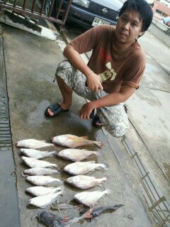 บางปะกง