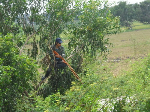 รวมรูป sniper คับ