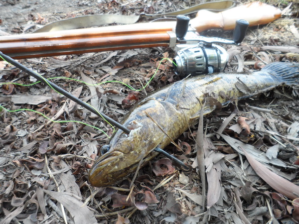 รวมรูป sniper คับ
