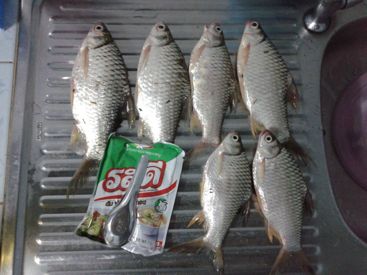 หนองน้ำเขียว 