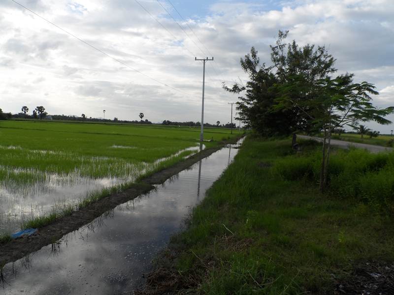 ไปทดสอบสาย กับไอ้ช่อน