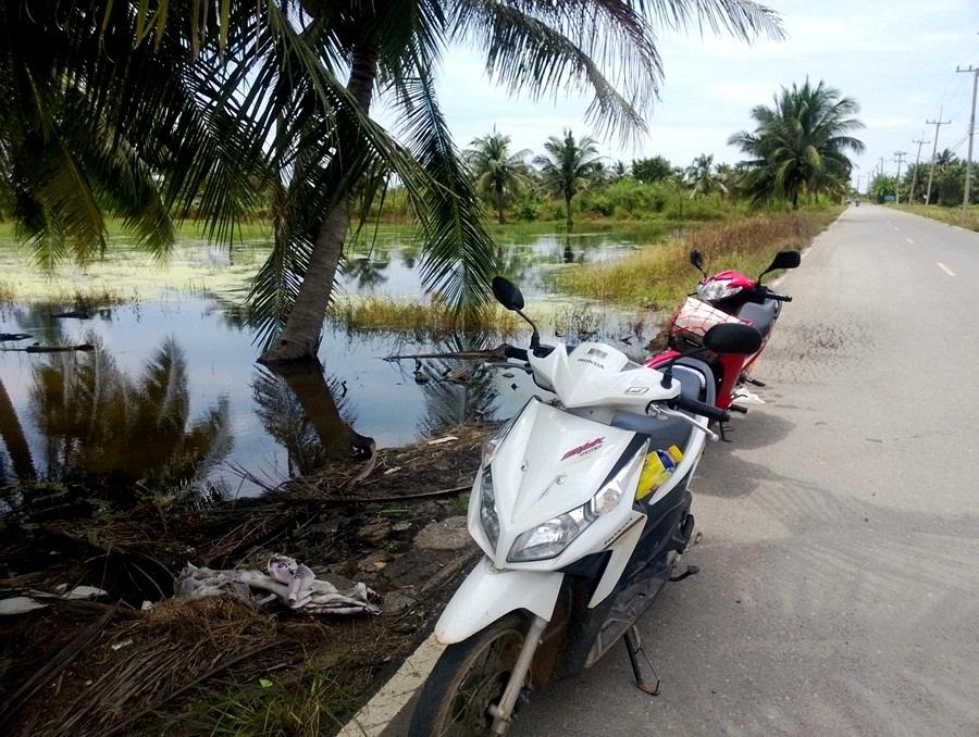 @ ปลานานิดหน่อย @