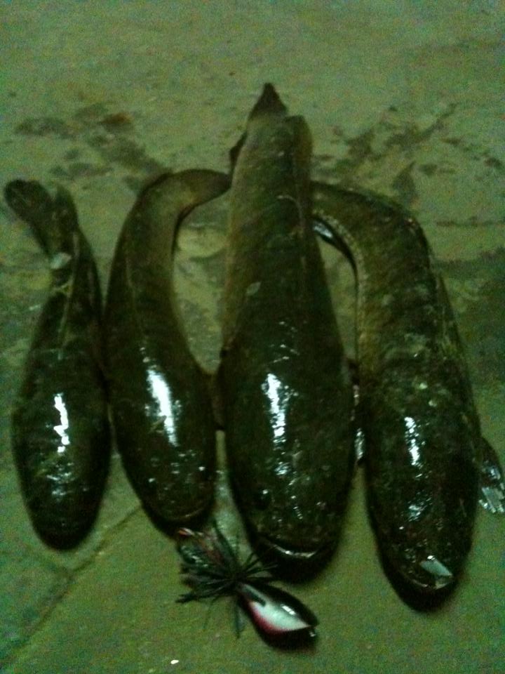 ลองมาดูกบทำเอง ภาพรวมๆๆหน่อยคัฟ