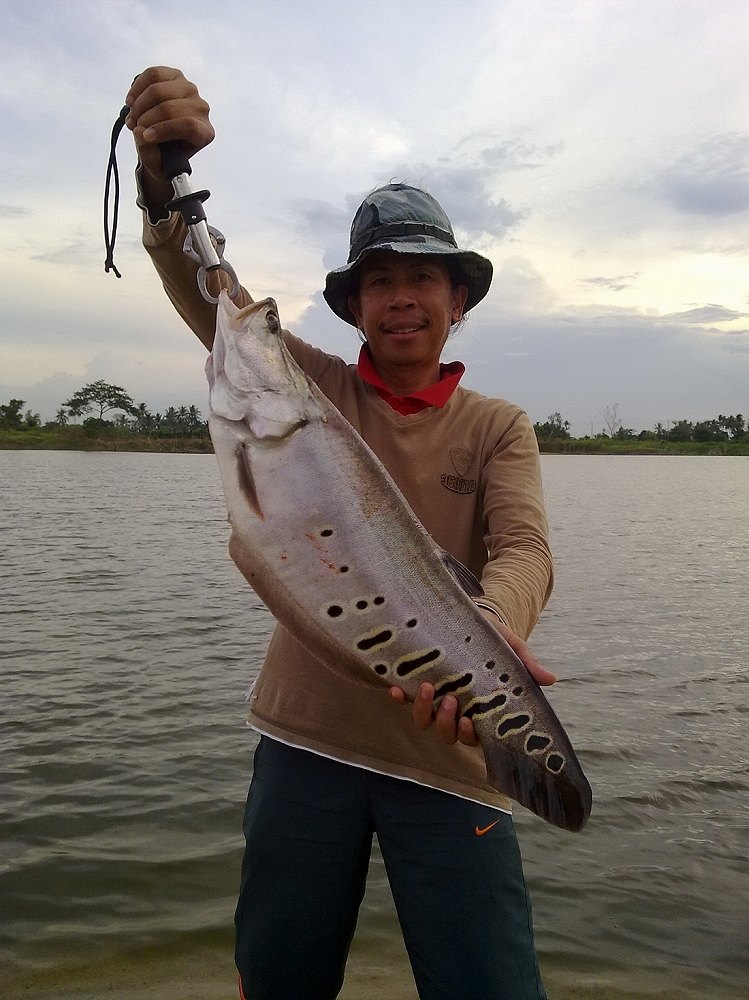 ปลากินของปลอม