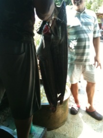 เค้า ลพบุรี