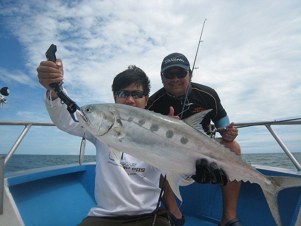 Light Jigging Trip By P&G ลมเข้า