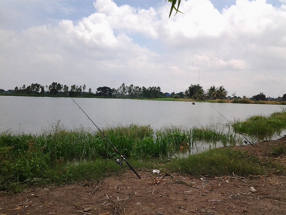 บางไทร ไม่เคยพลาด