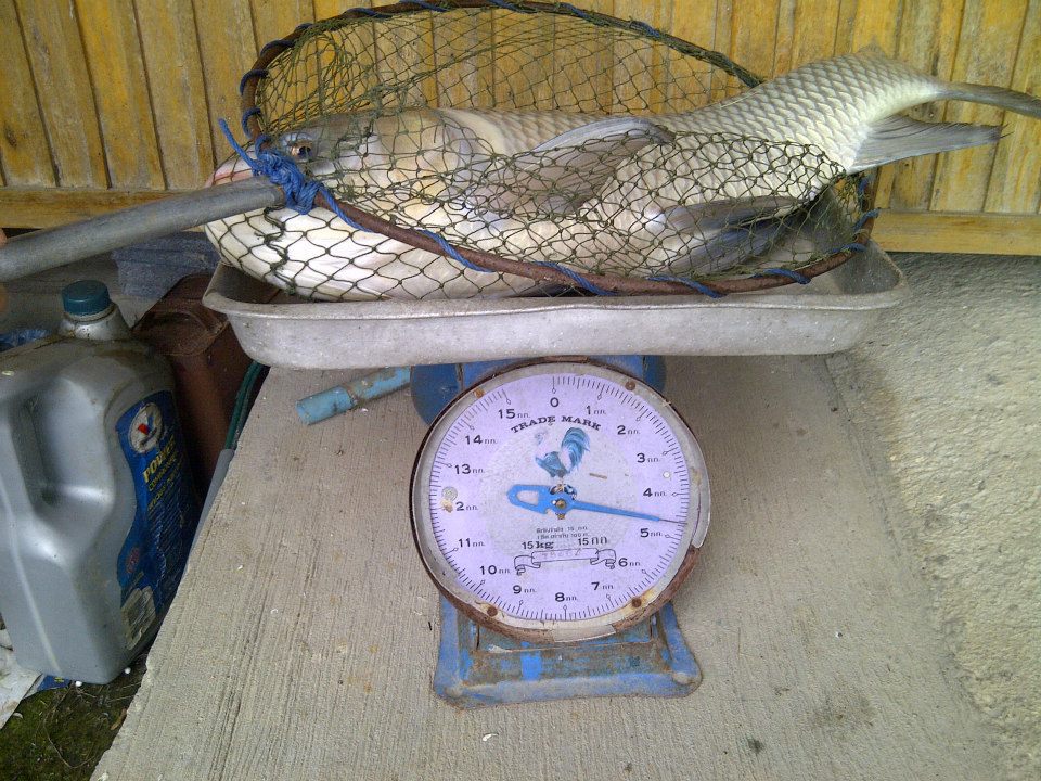 Tactic Fishing Park ห้วยปราบ บ่อวิน ศรีราชา ชลบุรี