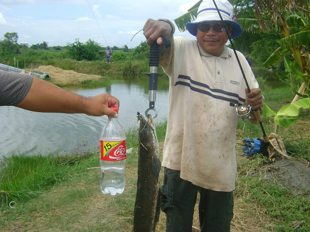 รวมภาพทริพช่อน