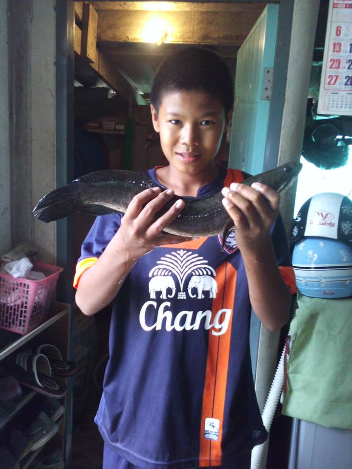 รูปน้องๆ ข้างบ้านครับ ฝากมาให้นน้า มาชมกันเล่นๆ