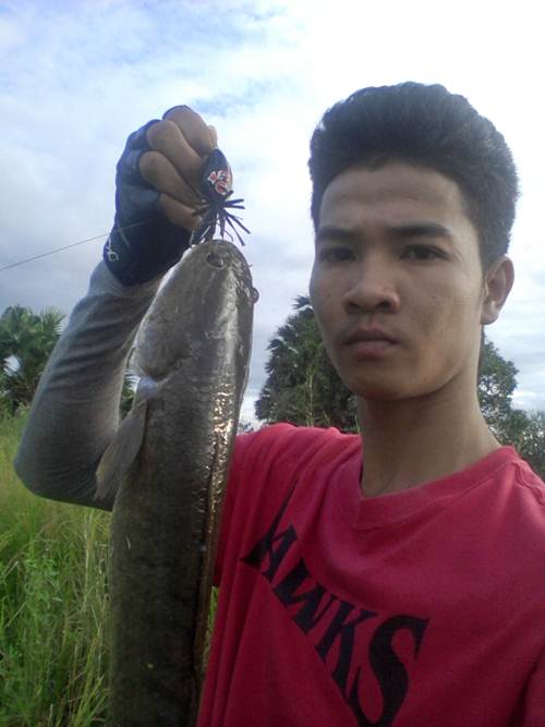 เพื่อน...มันขอมา