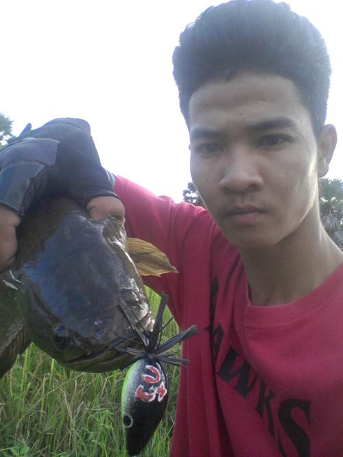 เพื่อน...มันขอมา