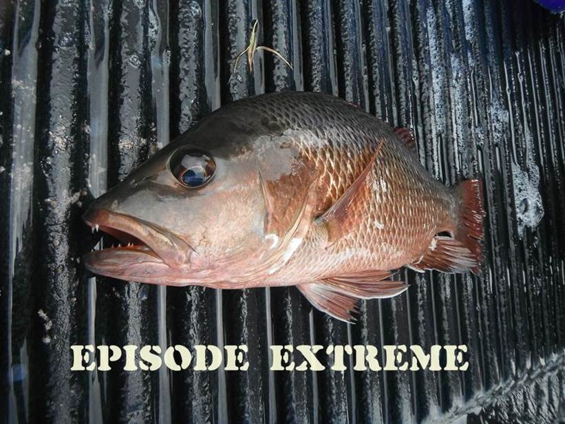 EPISODE EXTREME  รูปลงปลา กติกา รอหน่อย