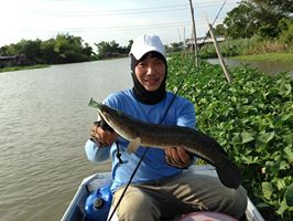 ภาพรวมผลงานกบกระโดดทำเอง Mสุดทรีนครับ เอามาให้ชมเล่นๆครับ  