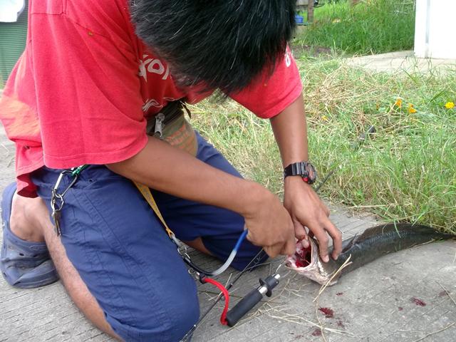 ช่อน.ช่อน.ช่อน.ครับ