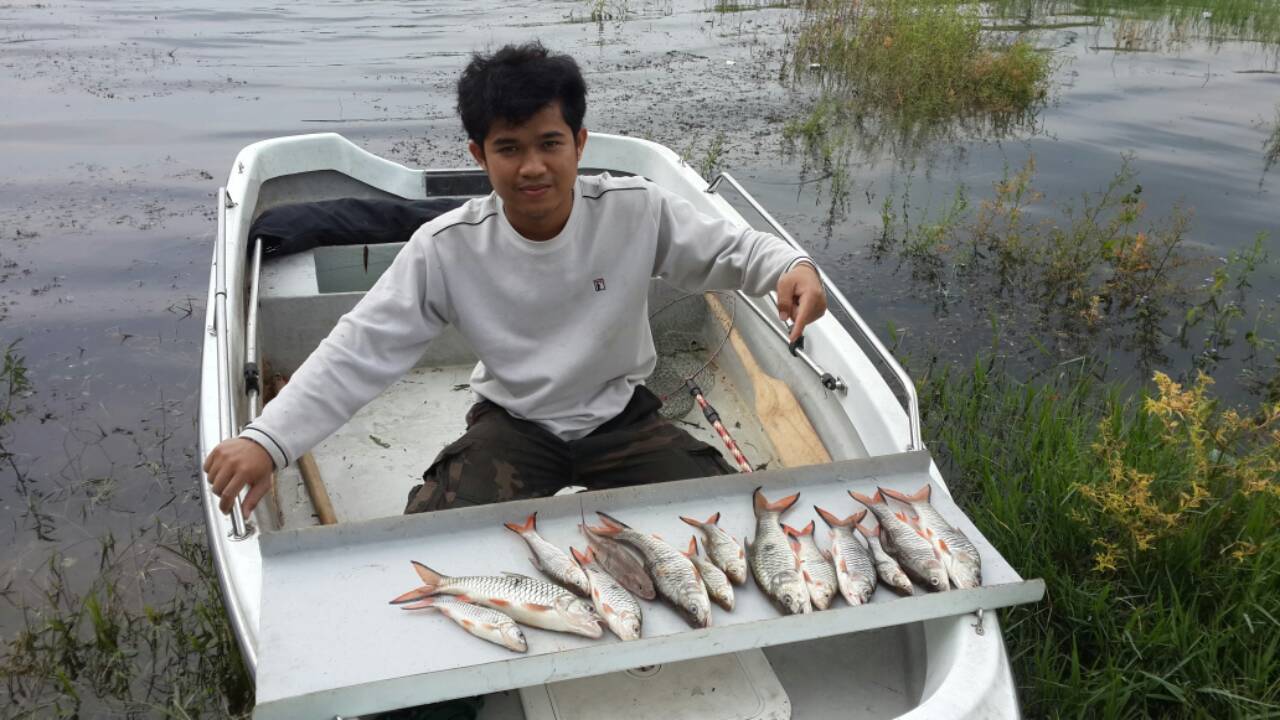 กระสูบหน้าผา 2