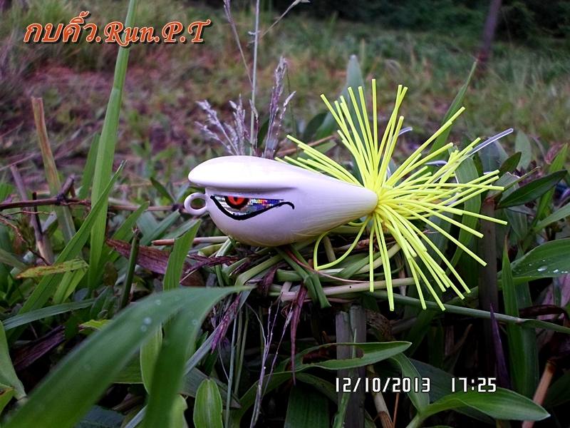ส่งงาน..กบคิ้ว Run,P.T.ไป..ปัตตานี.