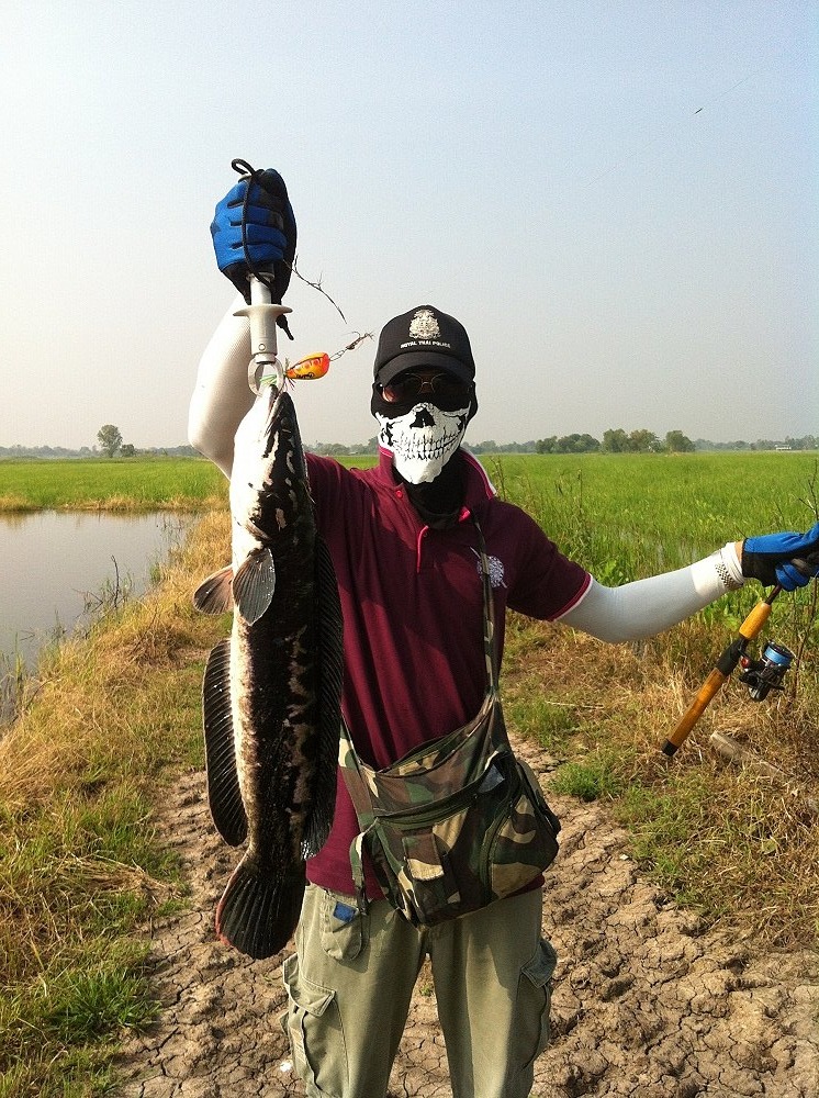 บางไทรน้ำมา ปลาก็พอมีให้ตกครับ