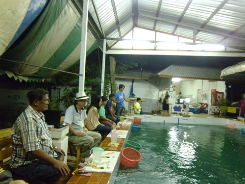 แข่งตกกุ้งที่บ่อปั้นทิพย์วันเสาร์ที่ 12 ตุลาคม 56