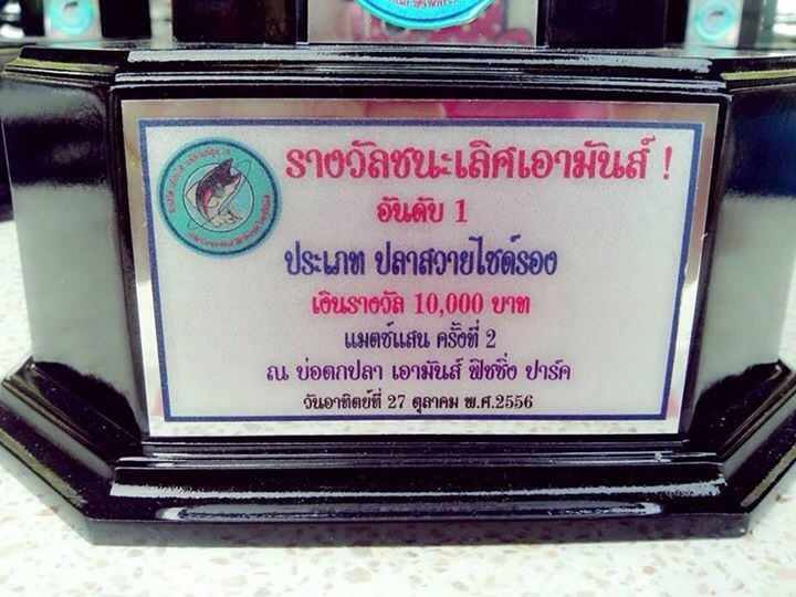 เอามันส์ ถ้วยแม็ทช์แสนมาแล้วครับ มีให้ชมทุกประเภท