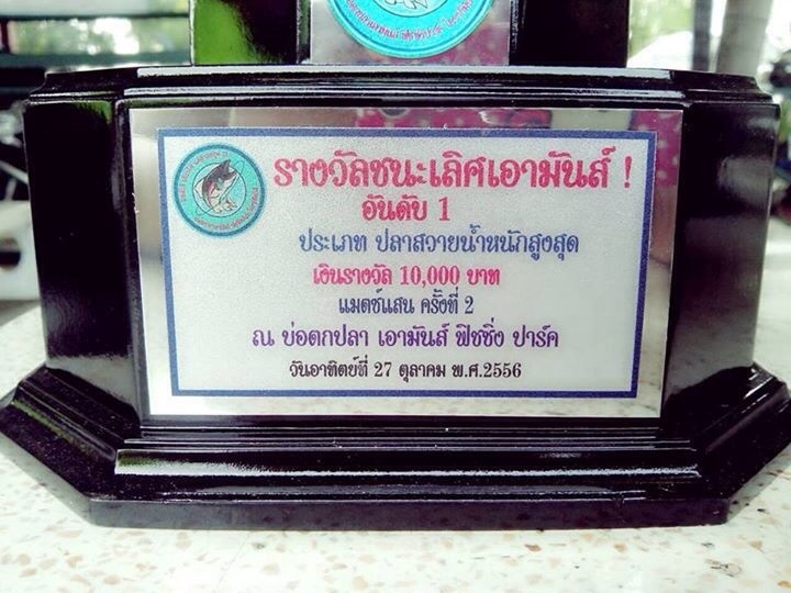 เอามันส์ ถ้วยแม็ทช์แสนมาแล้วครับ มีให้ชมทุกประเภท