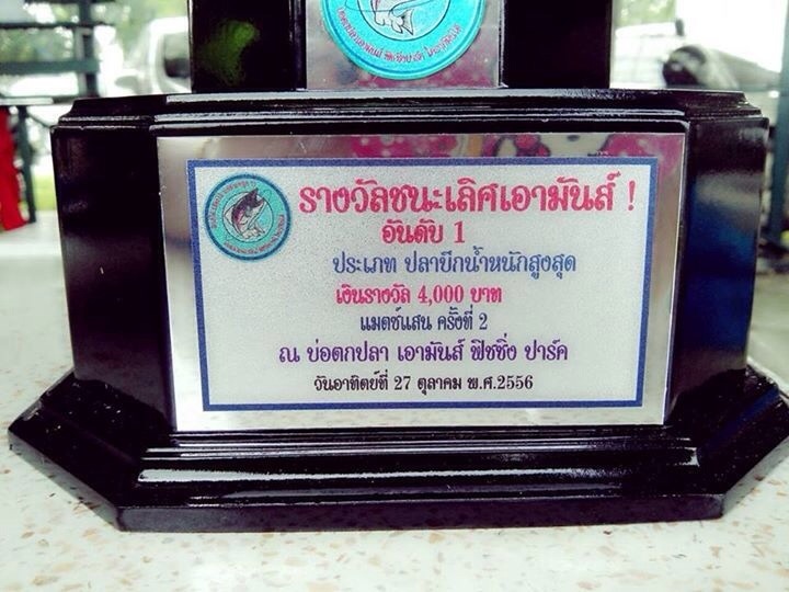 เอามันส์ ถ้วยแม็ทช์แสนมาแล้วครับ มีให้ชมทุกประเภท