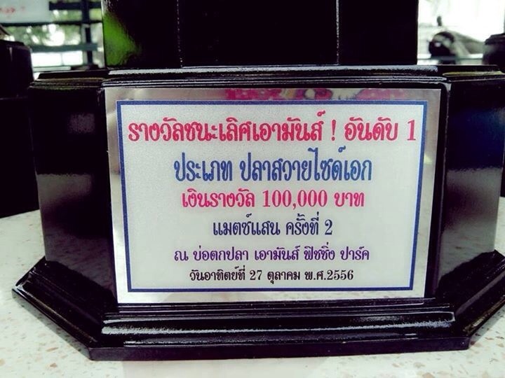 เอามันส์ ถ้วยแม็ทช์แสนมาแล้วครับ มีให้ชมทุกประเภท