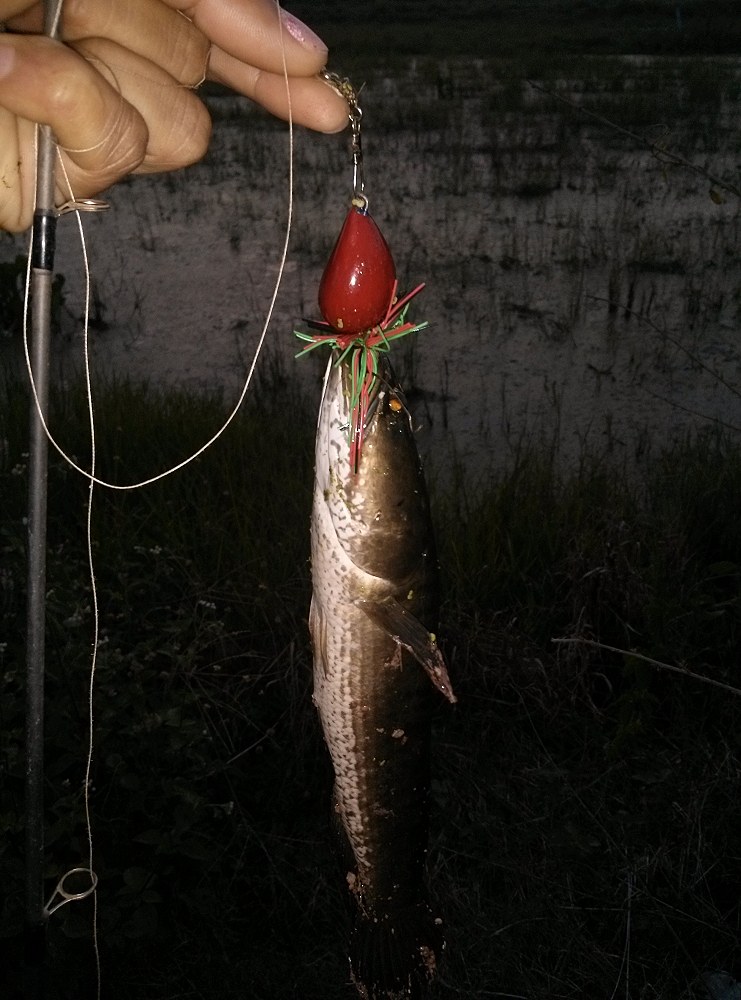 เย็นๆ
