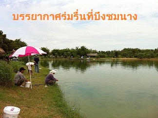 ห้าหมื่น 20 ตุลาคมที่บึงชมนาง