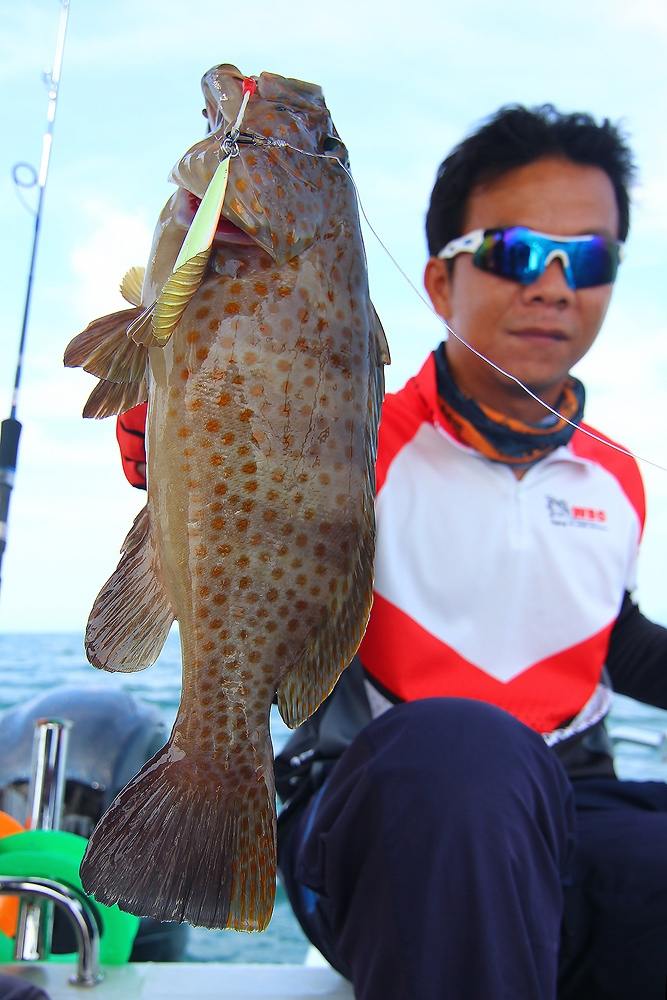 *** LIGHT JIGGING..กับ300ยอด FISHING BOAT***