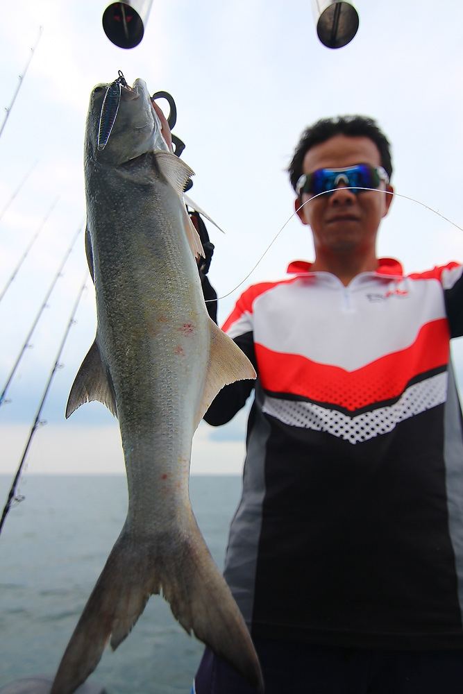 *** LIGHT JIGGING..กับ300ยอด FISHING BOAT***