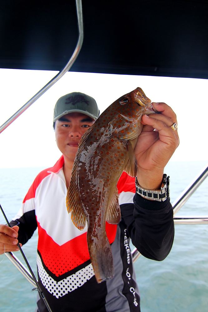 *** LIGHT JIGGING..กับ300ยอด FISHING BOAT***