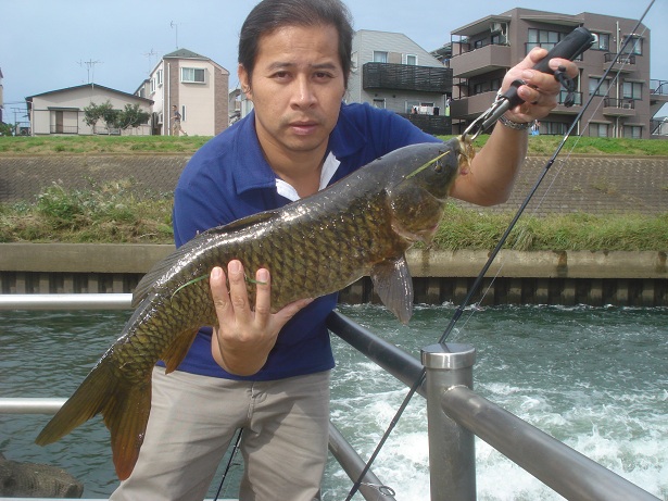 รายงานตกปลาญี่ปุ่น10 (ตกปลาหน้าดินญี่ปุ่น ตอนที่3 " ปลา โคว้ย " )