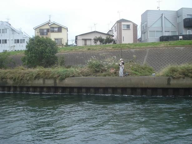 รายงานตกปลาญี่ปุ่น10 (ตกปลาหน้าดินญี่ปุ่น ตอนที่3 " ปลา โคว้ย " )