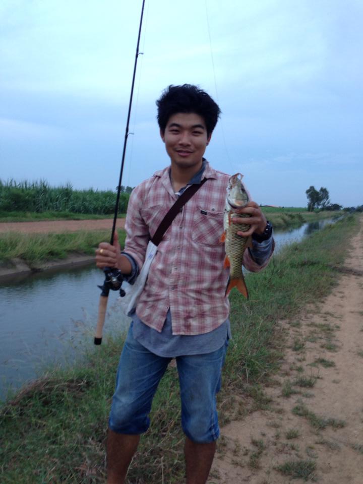 กระสูบหลังบ้าน