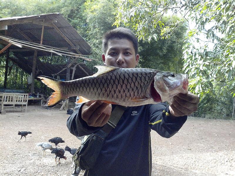 บาย>>บาย..