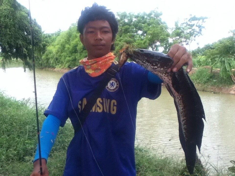 หยดน้ำลุงใหญ่ ปลาบชะโดเเว้น